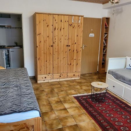 Apartment Betzenberg, Nur Netflix Kaiserslautern Eksteriør billede