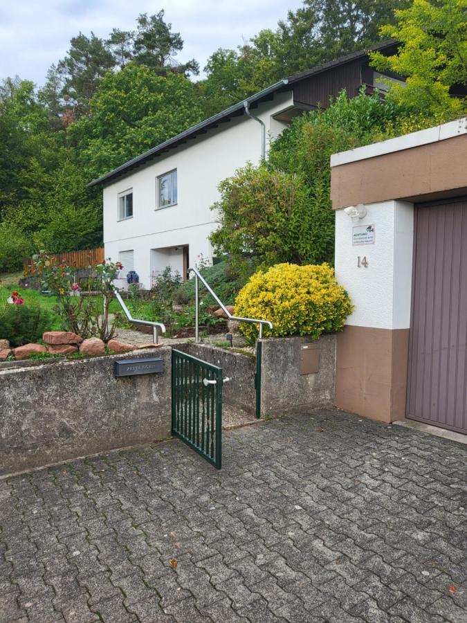 Apartment Betzenberg, Nur Netflix Kaiserslautern Eksteriør billede