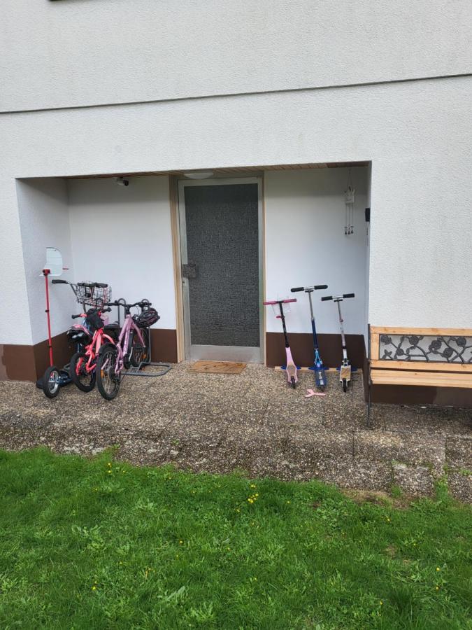 Apartment Betzenberg, Nur Netflix Kaiserslautern Eksteriør billede